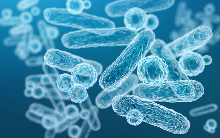 Illustrazione della flora intestinale